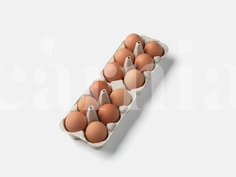 Càrnia huevos-gallina