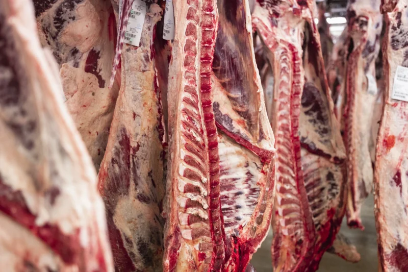 cuarto de canal de carnia